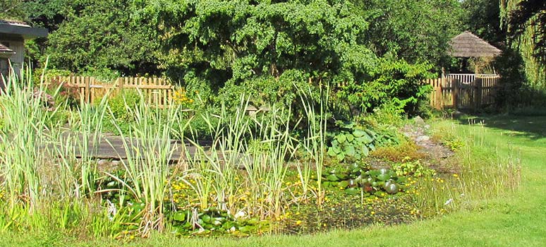 Gardening Services: Maintenance work in Herefordshire garden.