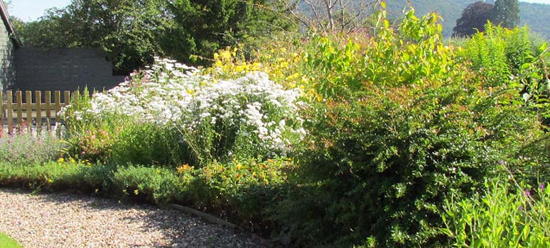 Gardening Services: Maintenance work in Herefordshire garden.
